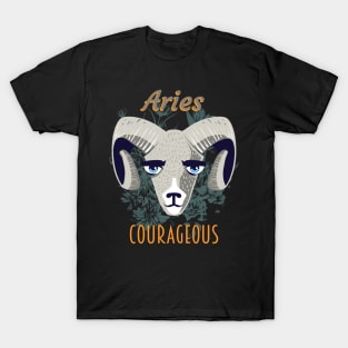 Aries sign of the zodiac T-Shirt